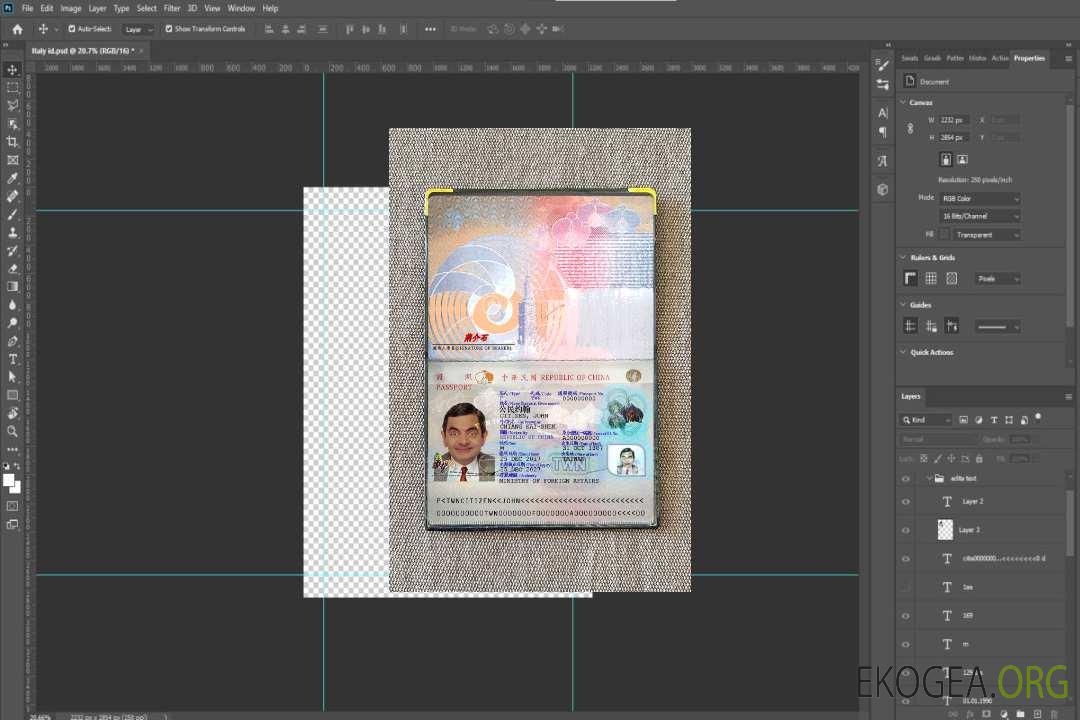 Aperçu photo du Taiwan Pass 2021-présent template Aperçu photo du Taiwan Pass 2021-présent template